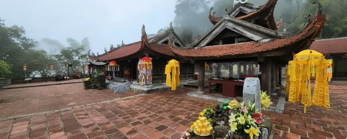 Whisk_8d4e57a9c8bec0cb01d4a8958ce15b67dr