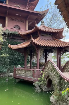 Whisk_937f2f101c6c5ce870e4b6d8f50c3b0bdr