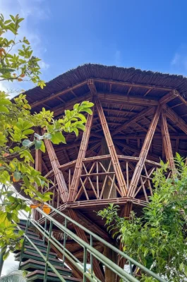 Whisk_988af6d39229921b3f84cbc2557c280ddr