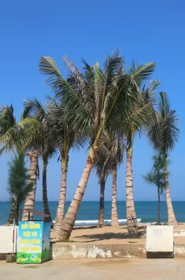 Whisk_a2aec434b27614996a7469eb15613451dr