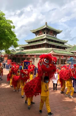 Whisk_a5c39a5c6e754ae94d942188a3ec8d86dr