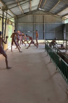 Whisk_ad5fced2745d3e5acf84285cdf91664ddr