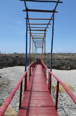 Whisk_b1d35bff1aae0cbb60c48c08a428a733dr