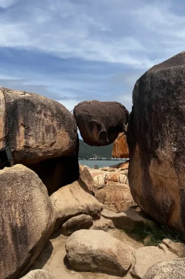 Whisk_c45715af9b82ca3871a4248cc9a7d9bfdr