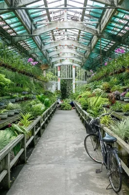 Whisk_c5dba2fc8adb67a9d0e45edbbb2b8e7cdr