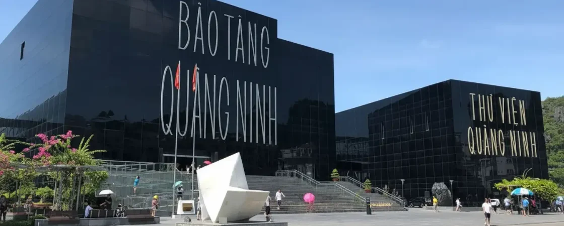 Whisk_cac25b338c26e668c80446a6ed33d603dr