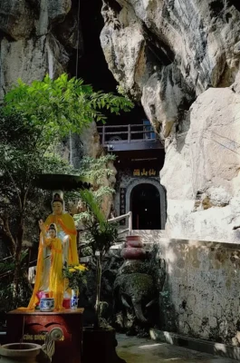 Whisk_cb34fffa3dbe26793d34874f687d79cedr