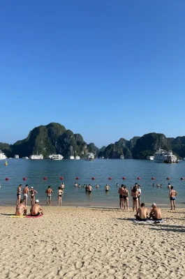 Whisk_ceafcf9e5b8e302b7014b01bbbef0a3edr