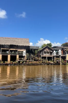 Whisk_db32d875a0ab0328415445bf23957e08dr