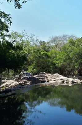 Whisk_e3589016e542419b8cc49a1423960bfadr