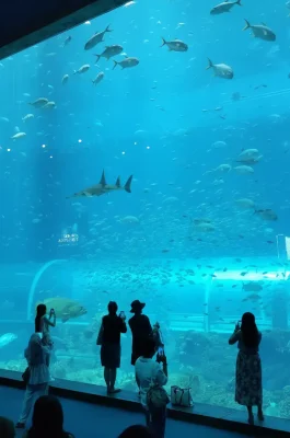 Whisk_e8c80897b3bb17b9f394eded672aac67dr