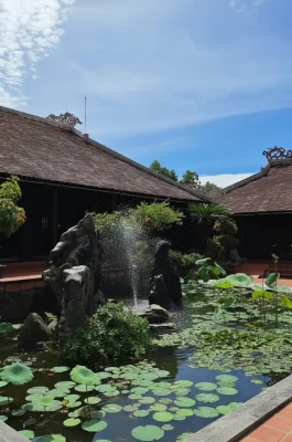 Whisk_ef32a326cfe0458bfd040719741bde7adr