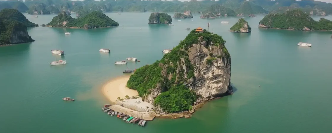 Whisk_f0308f9e90ada15916d4941c50d58dc7dr