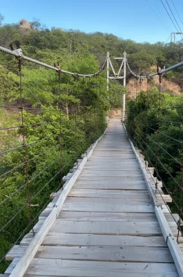 Whisk_f3808c611452c1f8a2e4f5d6fa317e91dr