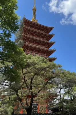 Whisk_fc2fc1ad5993682bc704a4247d2d9df6dr