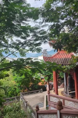 Whisk_fe3db7c1ebbd0849f8e49467404bf6bbdr