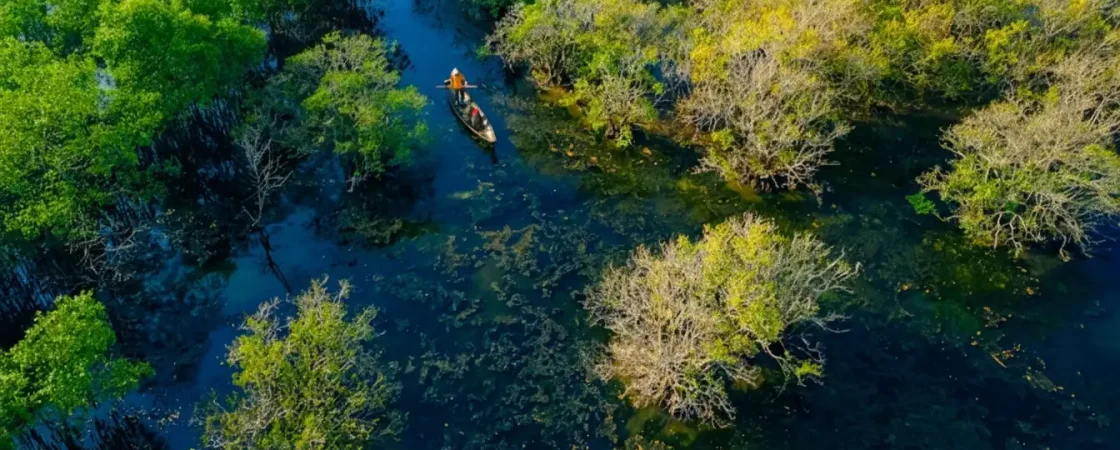 img_013203fa4f3ef76a2cd434eb37248105dr