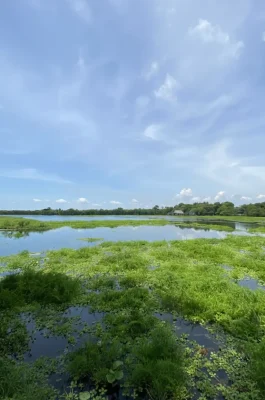 Tram Tra Loc Ecotourism: Quang Tri's Tranquil Lotus Lake Oasis