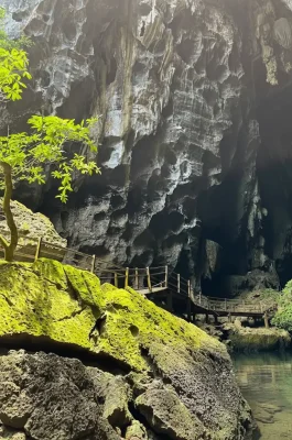Dark Cave Phong Nha: Zipline, Mud Bath & Ultimate Adventure