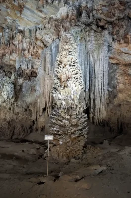 Dark Cave Phong Nha: Zipline, Mud Bath & Ultimate Adventure