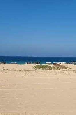 Nam Cuong Sand Dunes: Ninh Thuan Sunset, Sandboarding & Cham Culture