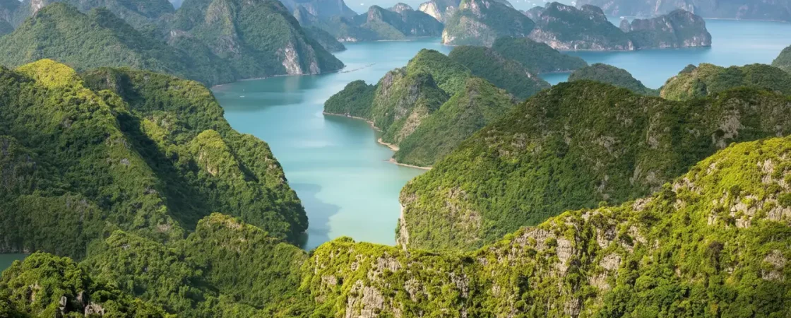 Cat Ba National Park: UNESCO Biosphere, Trekking & Wildlife in Hai Phong