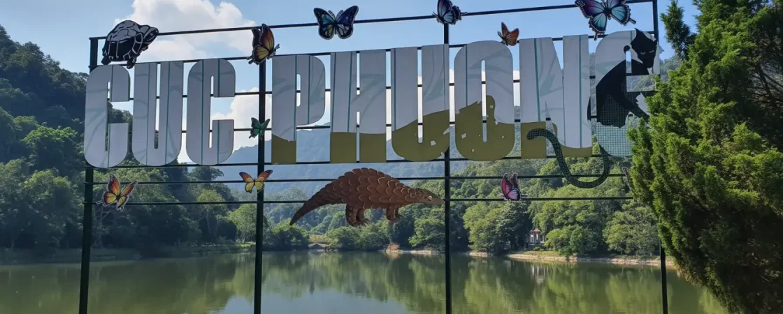 Cuc Phuong National Park: Vietnam's Oldest Tropical Rainforest & Wildlife Rescue