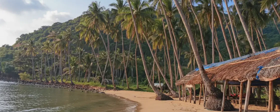 img_0e98d6e12a30d3097884c734f78ce119dr