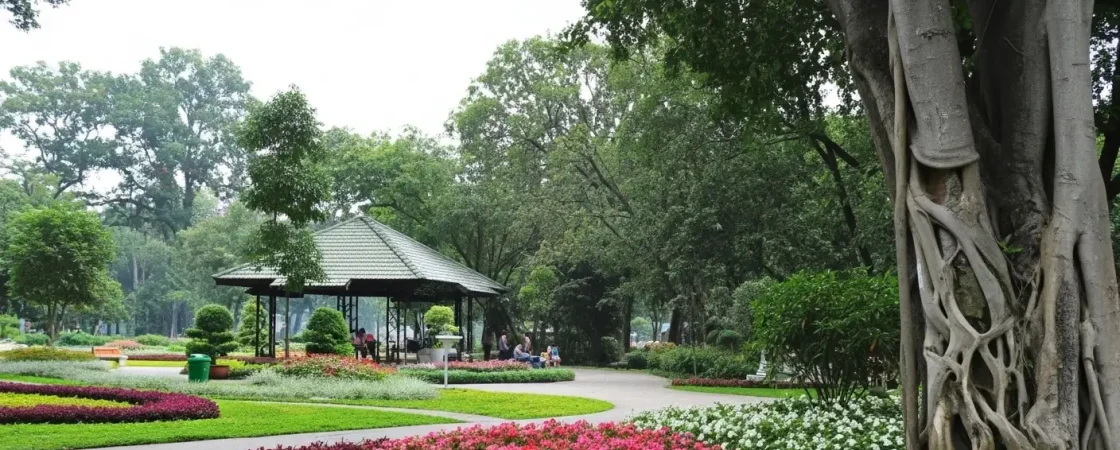 Gia Dinh Park: HCMC's Largest Green Space & Family Hub