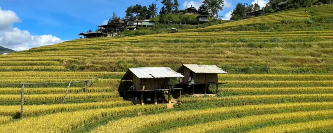 Mam Xoi Hill: Mu Cang Chai's Iconic Rice Terrace Viewpoint