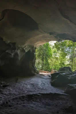 Cuc Phuong National Park: Vietnam's Oldest Tropical Rainforest & Wildlife Rescue