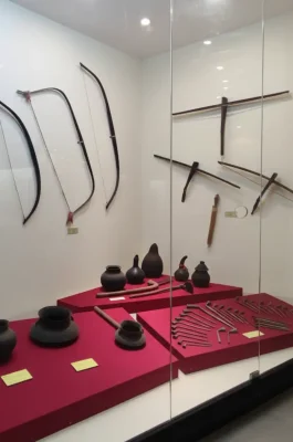 Quang Trung Museum: Tay Son Uprising & Emperor's Historical Birthplace