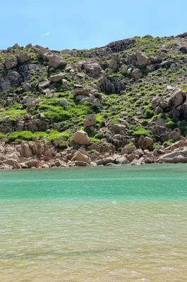 Hon Kho Island: Quy Nhon's Submerged Path & Best Coral Reef Snorkeling