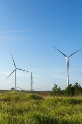 Cau Dat Tea Hill Dalat: Cloud Hunting, Old Factory & Green Tea Farm