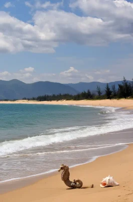 De Gi Beach: Quy Nhon's Secluded Fishing Village & Vung Boi Coral Reefs