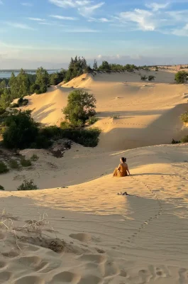 Phuong Mai Sand Dunes: Sandboarding & Coastal Desert Views near Quy Nhon