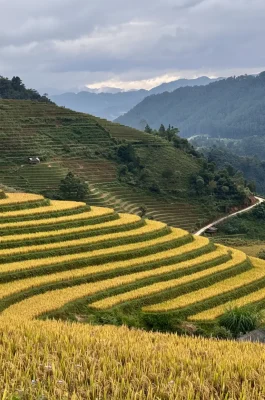 Mam Xoi Hill: Mu Cang Chai's Iconic Rice Terrace Viewpoint