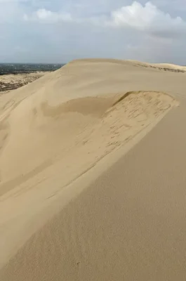 Quang Phu Sand Dunes: Dong Hoi Sand Sliding & Coastal Views