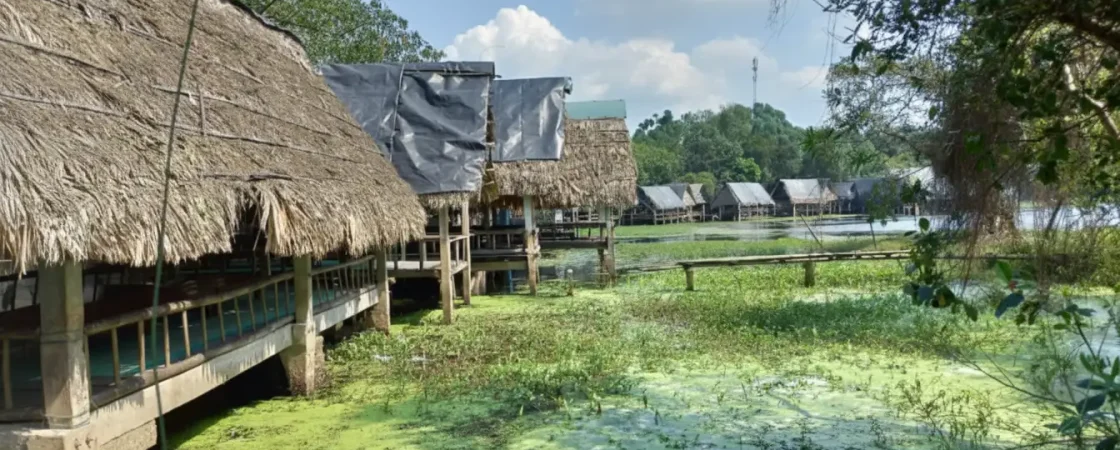 Tram Tra Loc Ecotourism: Quang Tri's Tranquil Lotus Lake Oasis