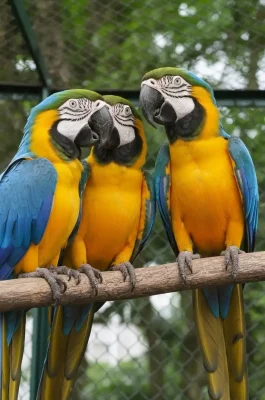 Hanoi Zoo (Thu Le Park): Family Fun & Wildlife Near Thu Le Lake