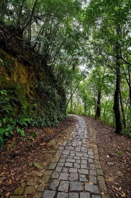 img_2ec44abd0198930998d4f648248b328fdr