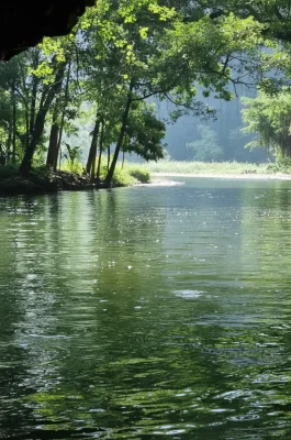 Tam Coc - Bich Dong: The "Halong Bay on Land" Boat Trip in Ninh Binh
