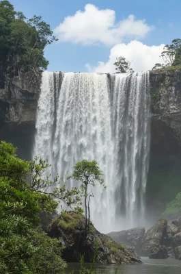 Kon Chu Rang Nature Reserve: Trekking to K50 Waterfall & Pristine Forest