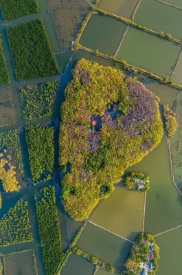 img_442fdab27a0799ba58b4204089fca500dr