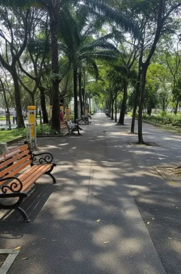 September 23rd Park: Ho Chi Minh City Green Space & Market Hub