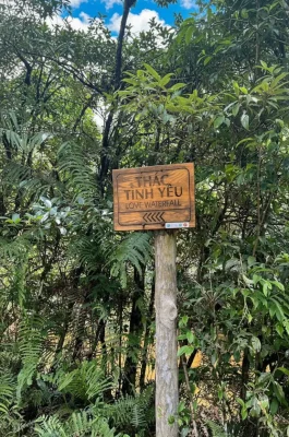 Love Waterfall Sapa: Romantic Legend, Forest Trek & Golden Stream