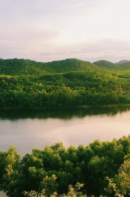 img_499813cfdf6b8dc800544b4eb26338c0dr