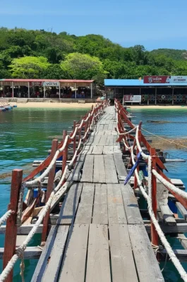 Vinh Hy Bay: Unspoiled Coral Reef Snorkeling & Nui Chua National Park Views
