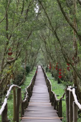 Tra Su Cajuput Forest: Scenic Flooded Wetlands & Bird Sanctuary in An Giang