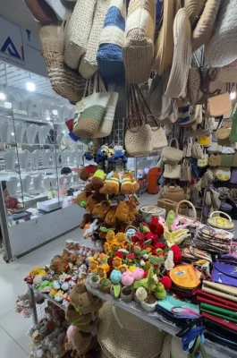 Dam Market Nha Trang: Central Lotus Architecture & Seafood Shopping Hub